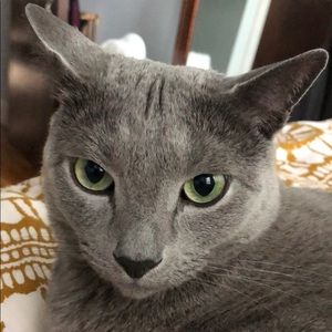 Meet your Posher, Carole